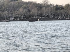 -西湖外事游船(湖滨二公园外事游船码头)