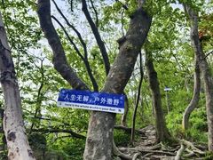 -紫金山山顶公园