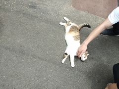 -老宅原住民沙茶面精品小吃(龙头路店)