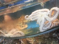 -渔中舟海鲜大排档(普陀沈家门店)