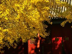 -大钟寺古钟博物馆