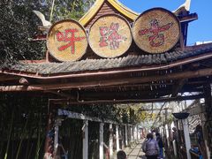 -呀路古热带植物园