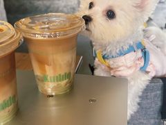 -KUDDO COFFEE(天河城店)