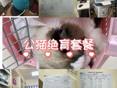 -宠颐生中康贝怡动物医院