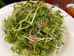 -丁老爷子苏香圆