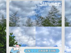 -嘉善老市
