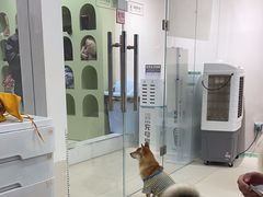 -怪兽屋·羊驼·猫咖·狗咖(俊华广场店)