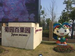 -菊园百果园