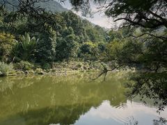 -深圳仙湖植物园