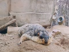 -广州长隆飞鸟乐园