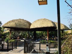 -清远熹乐谷温泉度假酒店