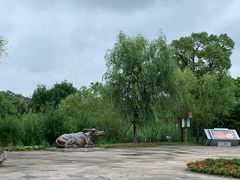 -梁鸿国家湿地公园