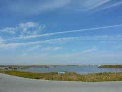 android_upload_pic-南汇嘴观海公园