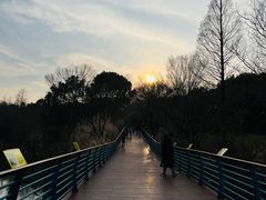 -上海吴淞炮台湾国家湿地公园