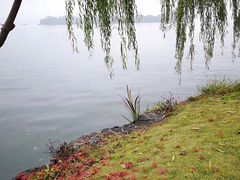 -浙江西子宾馆·瑶园咖啡厅