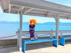 -观澜小洱海