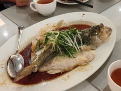 清蒸加州鲈-广东胜利宾馆西关粤中餐厅