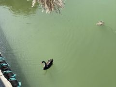 -北京麋鹿生态实验中心