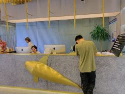 -3AM·S HAIR SALON烫发染发接发