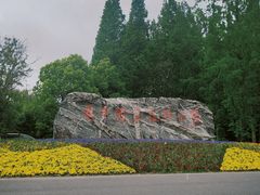 -东平国家森林公园