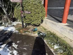 -有喜胶东小馆(太申祥和店)