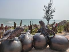 -广东惠东海龟国家级自然保护区