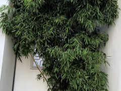 -中国昆曲博物馆