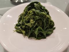 凉拌丝瓜尖-张福记(五一公园店)