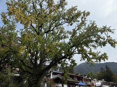 -塔川景区