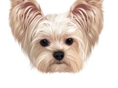 -野果与山椒Chill Chili·贵州菜(长寿路店)