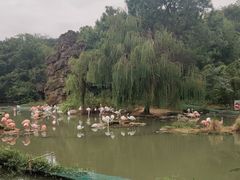 -宁波野生动物园