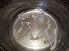 -椰夫人·养生椰子鸡(黄埔时代城店)