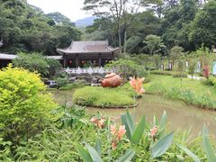 -广州市白云山风景名胜区