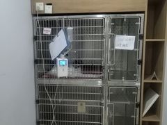 -艾贝尔宠物医院·24H转诊中心·肿瘤猫专科(江宁双龙店)