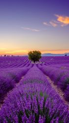 -文华东方水疗中心