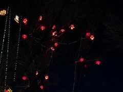 -大望路(地铁站)