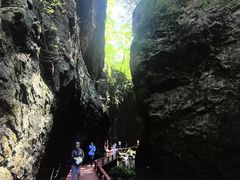 -牛背梁国家森林公园