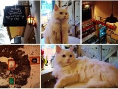 -Babycat私家御饼屋(龙头路一店)