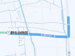 -上海野生动物园