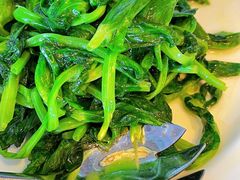 清炒豆苗-上海和平饭店龙凤厅 Dragon Phoenix