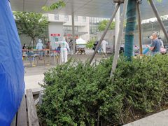 -上海市第十人民医院(总院)