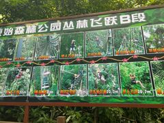 -西双版纳原始森林公园