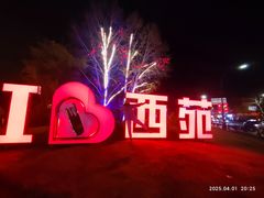 -西苑公园
