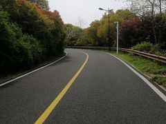 -宝界山林公园