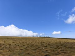 -芦芽山旅游度假区