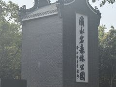 -滴水岩森林公园
