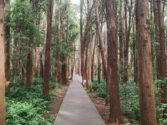 -同里国家湿地公园