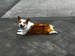 -荣小馆(临海世纪花城店)