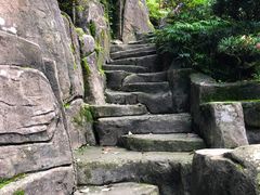 -南山植物园