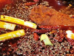 -星鸿社重庆老火锅(燃灯寺分店)